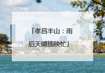 孝昌丰山：雨后天晴插秧忙